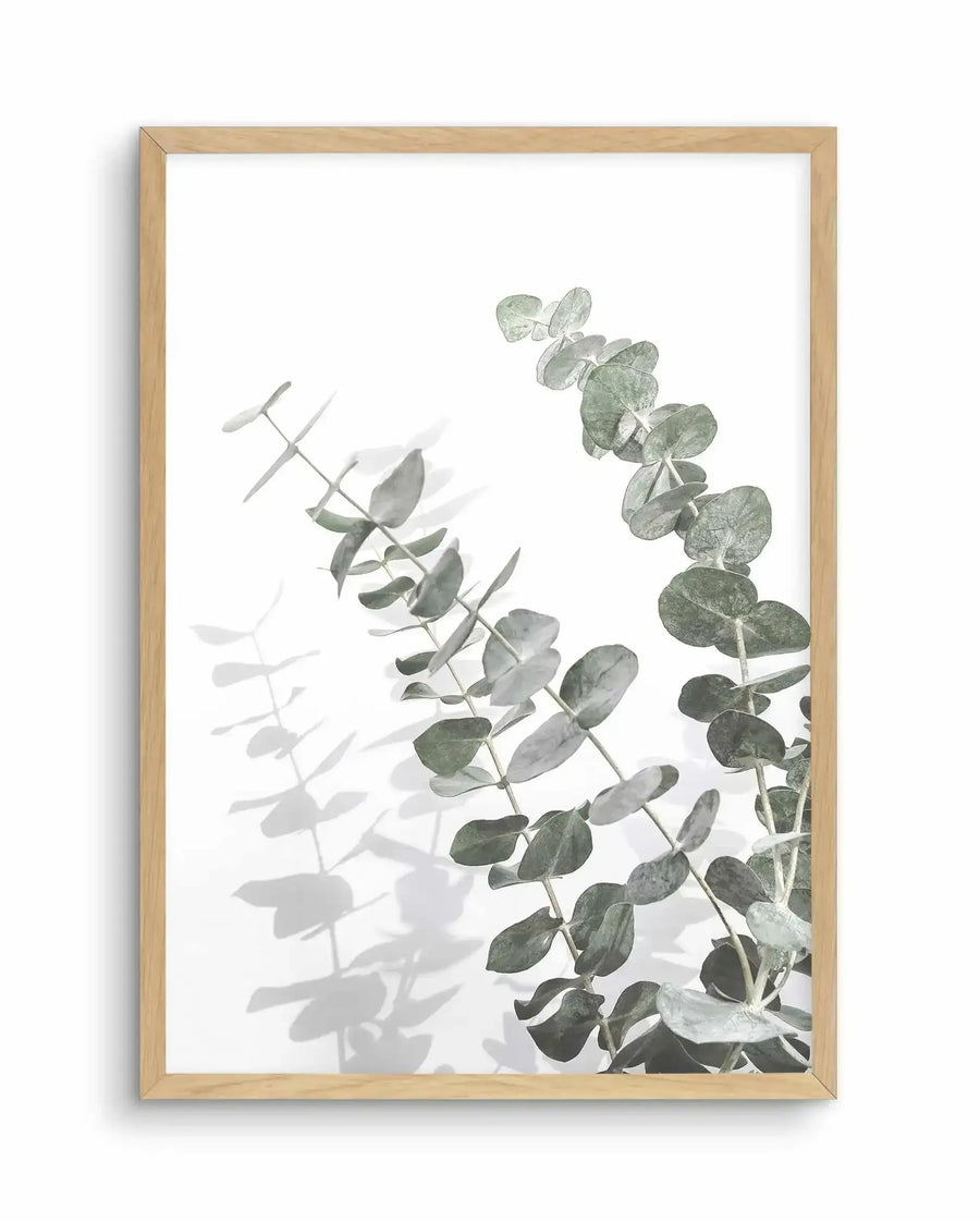 Framed art print featuring two botanical eucalyptus branches with gray-green oval leaves rendered in soft watercolor against a white background. The left branch extends diagonally with delicate shadows cast across the paper, while the right branch curves upward with fuller, more densely clustered foliage. Natural wood frame with light honey-colored finish and white border.