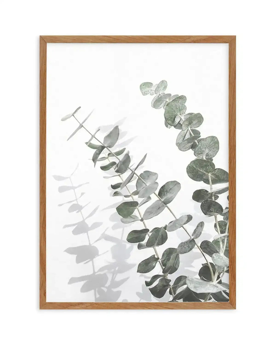 Eucalyptus IV art print in natural wood frame featuring watercolor illustration of eucalyptus branches with oval and rounded leaves in soft sage green and gray tones against white background, with delicate shadow effects, displayed as vertical portrait orientation.