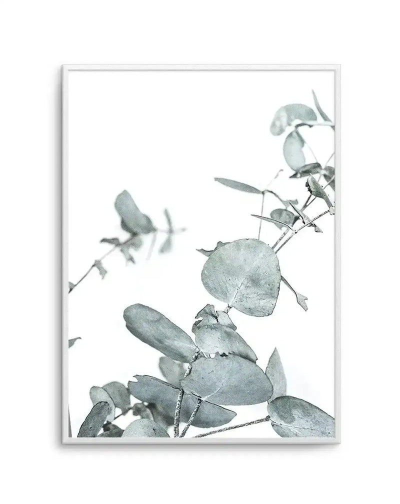 Product shot of an art print featuring eucalyptus leaves in a muted sage green and dusty grey against a bright white background, with a white frame and white border. The composition shows several branches of rounded, flat leaves with a soft, slightly textured appearance, creating a minimalist and serene botanical image.