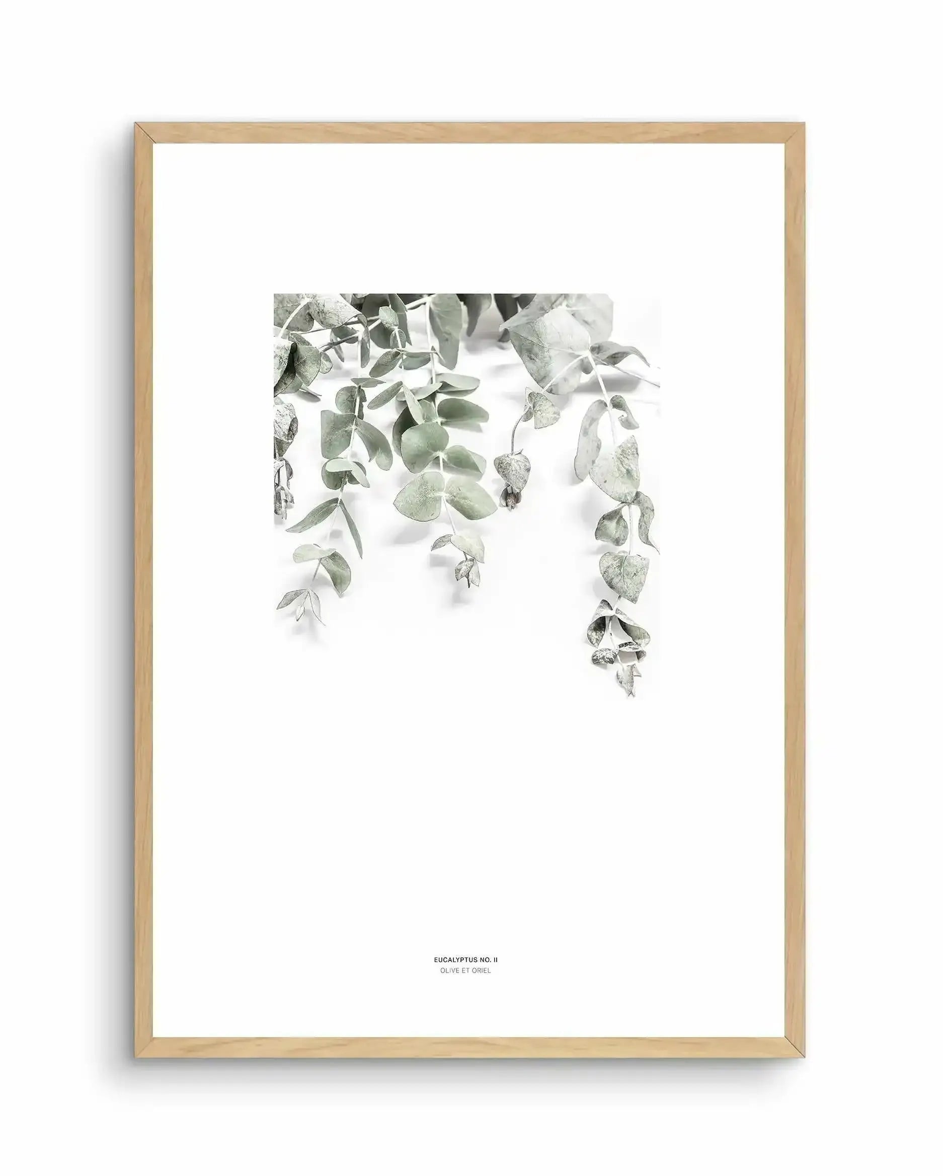 Eucalyptus II Art Print-PRINT-Olive et Oriel-Olive et Oriel-A4 | 8.3" x 11.7" | 21 x 29.7cm-Oak-With White Border-Buy-Australian-Art-Prints-Online-with-Olive-et-Oriel-Your-Artwork-Specialists-Austrailia-Decorate-With-Coastal-Photo-Wall-Art-Prints-From-Our-Beach-House-Artwork-Collection-Fine-Poster-and-Framed-Artwork