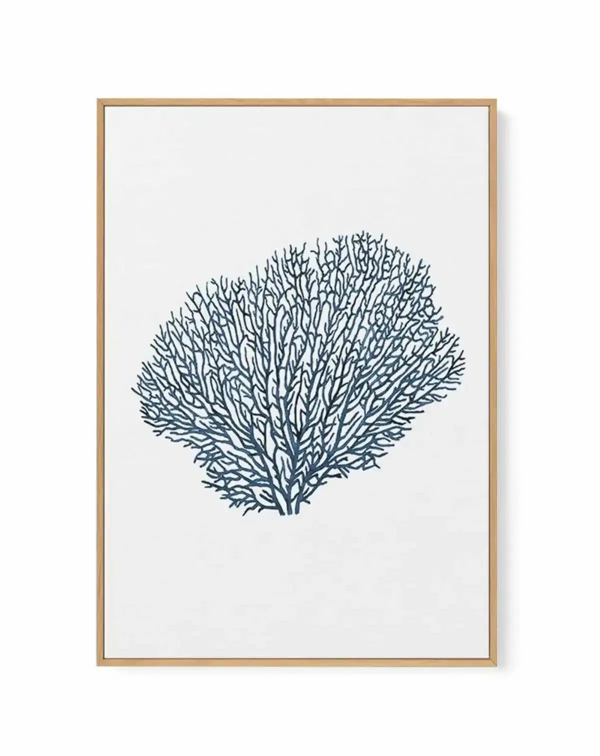 Fan Coral I | Framed Canvas-CANVAS-You can shop wall art online with Olive et Oriel for everything from abstract art to fun kids wall art. Our beautiful modern art prints and canvas art are available from large canvas prints to wall art paintings and our proudly Australian artwork collection offers only the highest quality framed large wall art and canvas art Australia - You can buy fashion photography prints or Hampton print posters and paintings on canvas from Olive et Oriel and have them deli