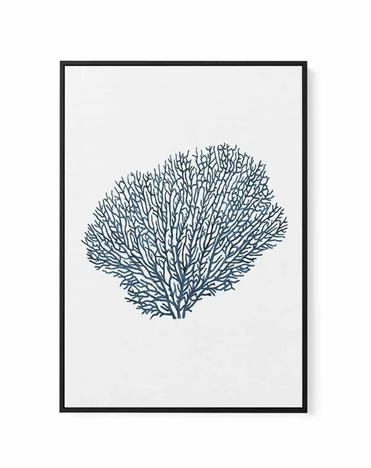 Fan Coral I | Framed Canvas-CANVAS-You can shop wall art online with Olive et Oriel for everything from abstract art to fun kids wall art. Our beautiful modern art prints and canvas art are available from large canvas prints to wall art paintings and our proudly Australian artwork collection offers only the highest quality framed large wall art and canvas art Australia - You can buy fashion photography prints or Hampton print posters and paintings on canvas from Olive et Oriel and have them deli