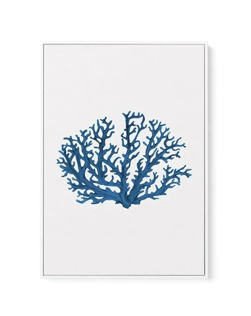 Fan Coral II | Framed Canvas-CANVAS-You can shop wall art online with Olive et Oriel for everything from abstract art to fun kids wall art. Our beautiful modern art prints and canvas art are available from large canvas prints to wall art paintings and our proudly Australian artwork collection offers only the highest quality framed large wall art and canvas art Australia - You can buy fashion photography prints or Hampton print posters and paintings on canvas from Olive et Oriel and have them del