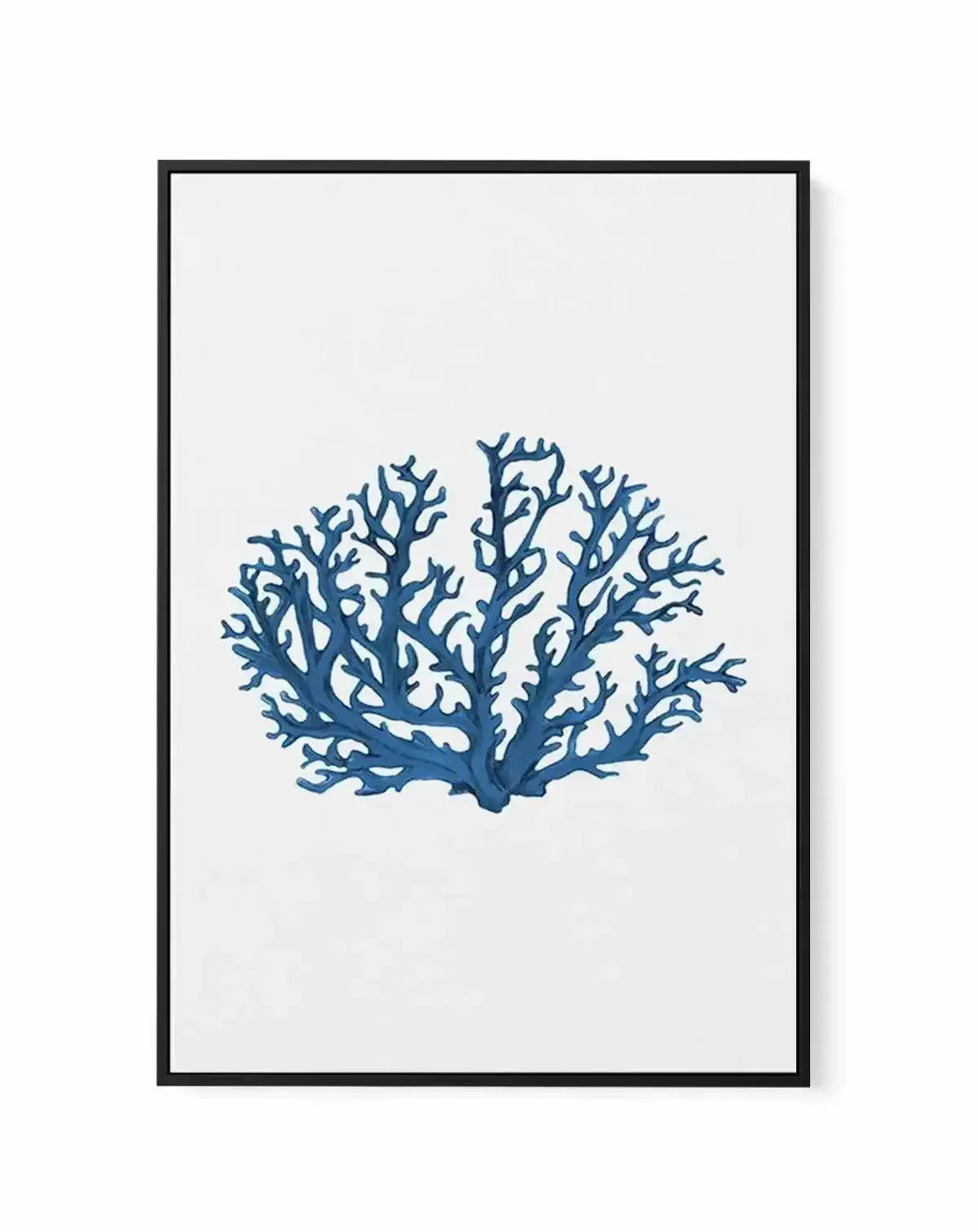 Fan Coral II | Framed Canvas-CANVAS-You can shop wall art online with Olive et Oriel for everything from abstract art to fun kids wall art. Our beautiful modern art prints and canvas art are available from large canvas prints to wall art paintings and our proudly Australian artwork collection offers only the highest quality framed large wall art and canvas art Australia - You can buy fashion photography prints or Hampton print posters and paintings on canvas from Olive et Oriel and have them del