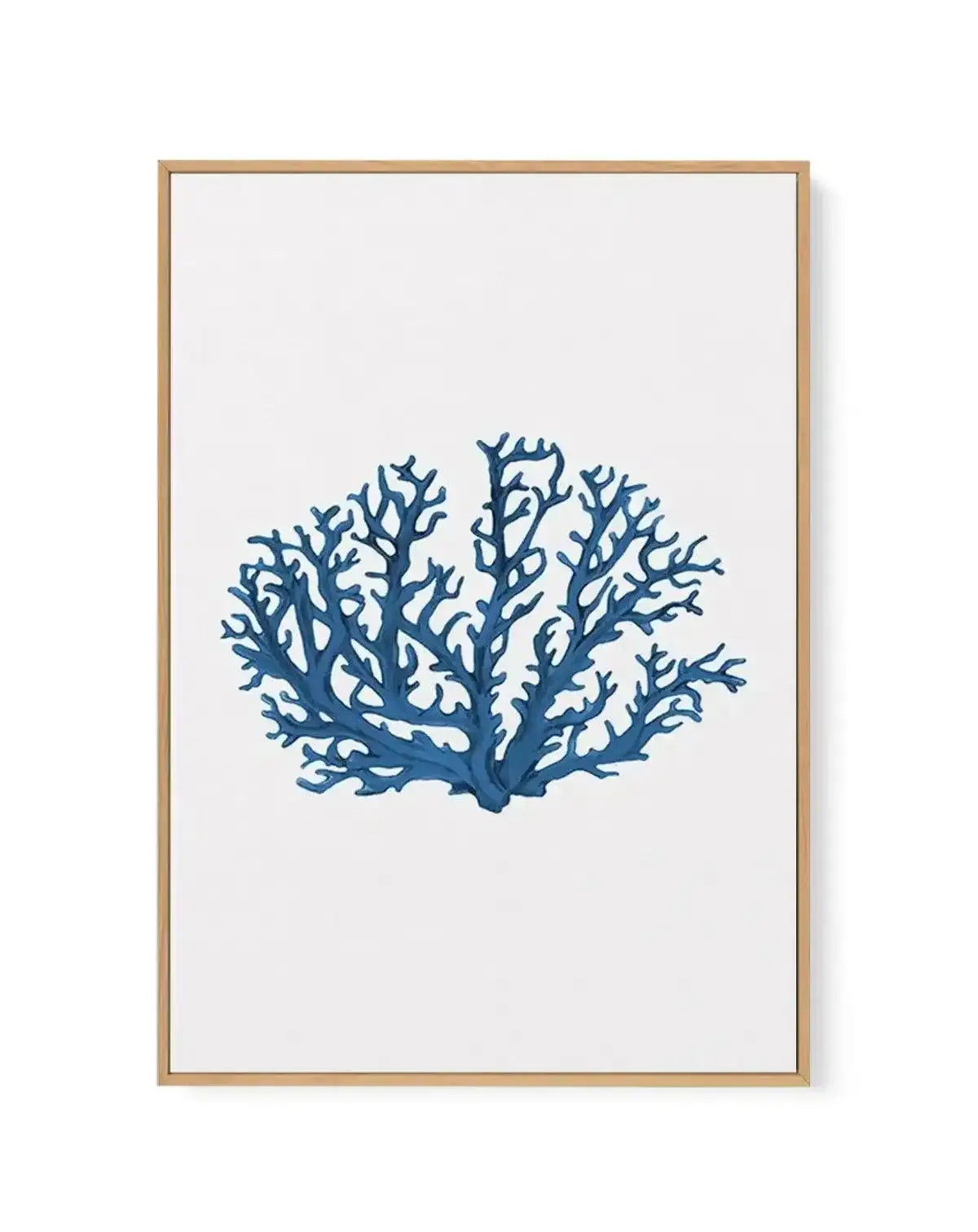 Fan Coral II | Framed Canvas-CANVAS-You can shop wall art online with Olive et Oriel for everything from abstract art to fun kids wall art. Our beautiful modern art prints and canvas art are available from large canvas prints to wall art paintings and our proudly Australian artwork collection offers only the highest quality framed large wall art and canvas art Australia - You can buy fashion photography prints or Hampton print posters and paintings on canvas from Olive et Oriel and have them del