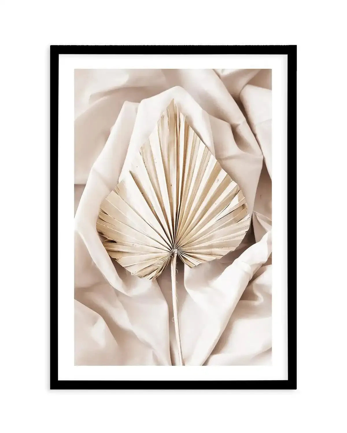 Fan Palm Art Print-PRINT-Olive et Oriel-Olive et Oriel-A5 | 5.8" x 8.3" | 14.8 x 21cm-Black-With White Border-Buy-Australian-Art-Prints-Online-with-Olive-et-Oriel-Your-Artwork-Specialists-Austrailia-Decorate-With-Coastal-Photo-Wall-Art-Prints-From-Our-Beach-House-Artwork-Collection-Fine-Poster-and-Framed-Artwork