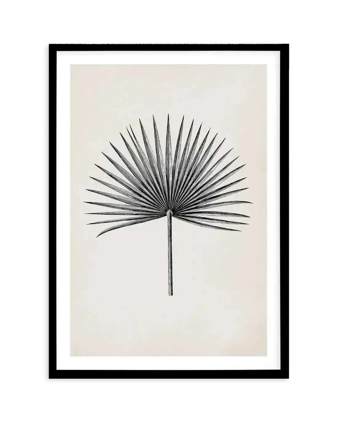 Fan Palm II Art Print-PRINT-Olive et Oriel-Olive et Oriel-A5 | 5.8" x 8.3" | 14.8 x 21cm-Black-With White Border-Buy-Australian-Art-Prints-Online-with-Olive-et-Oriel-Your-Artwork-Specialists-Austrailia-Decorate-With-Coastal-Photo-Wall-Art-Prints-From-Our-Beach-House-Artwork-Collection-Fine-Poster-and-Framed-Artwork