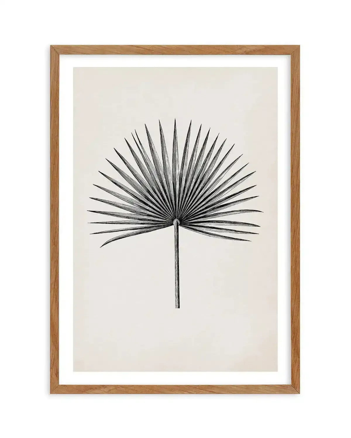 Fan Palm II Art Print-PRINT-Olive et Oriel-Olive et Oriel-50x70 cm | 19.6" x 27.5"-Walnut-With White Border-Buy-Australian-Art-Prints-Online-with-Olive-et-Oriel-Your-Artwork-Specialists-Austrailia-Decorate-With-Coastal-Photo-Wall-Art-Prints-From-Our-Beach-House-Artwork-Collection-Fine-Poster-and-Framed-Artwork