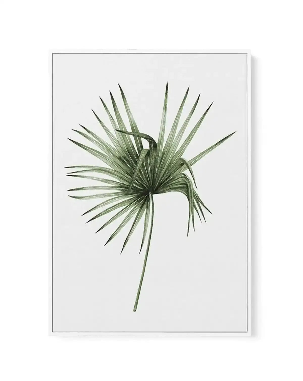 Fan Palm III | Framed Canvas-CANVAS-You can shop wall art online with Olive et Oriel for everything from abstract art to fun kids wall art. Our beautiful modern art prints and canvas art are available from large canvas prints to wall art paintings and our proudly Australian artwork collection offers only the highest quality framed large wall art and canvas art Australia - You can buy fashion photography prints or Hampton print posters and paintings on canvas from Olive et Oriel and have them del