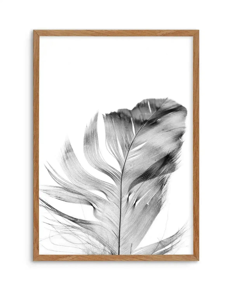 Framed art print featuring a detailed pencil drawing of a single feather rendered in grayscale. The feather is positioned vertically in the lower right portion of the white background, with fine linework showing texture and dimension across the barbs and shaft. The feather appears delicate with some strands wisping outward. The artwork is enclosed in a natural wood-toned frame with a white border.