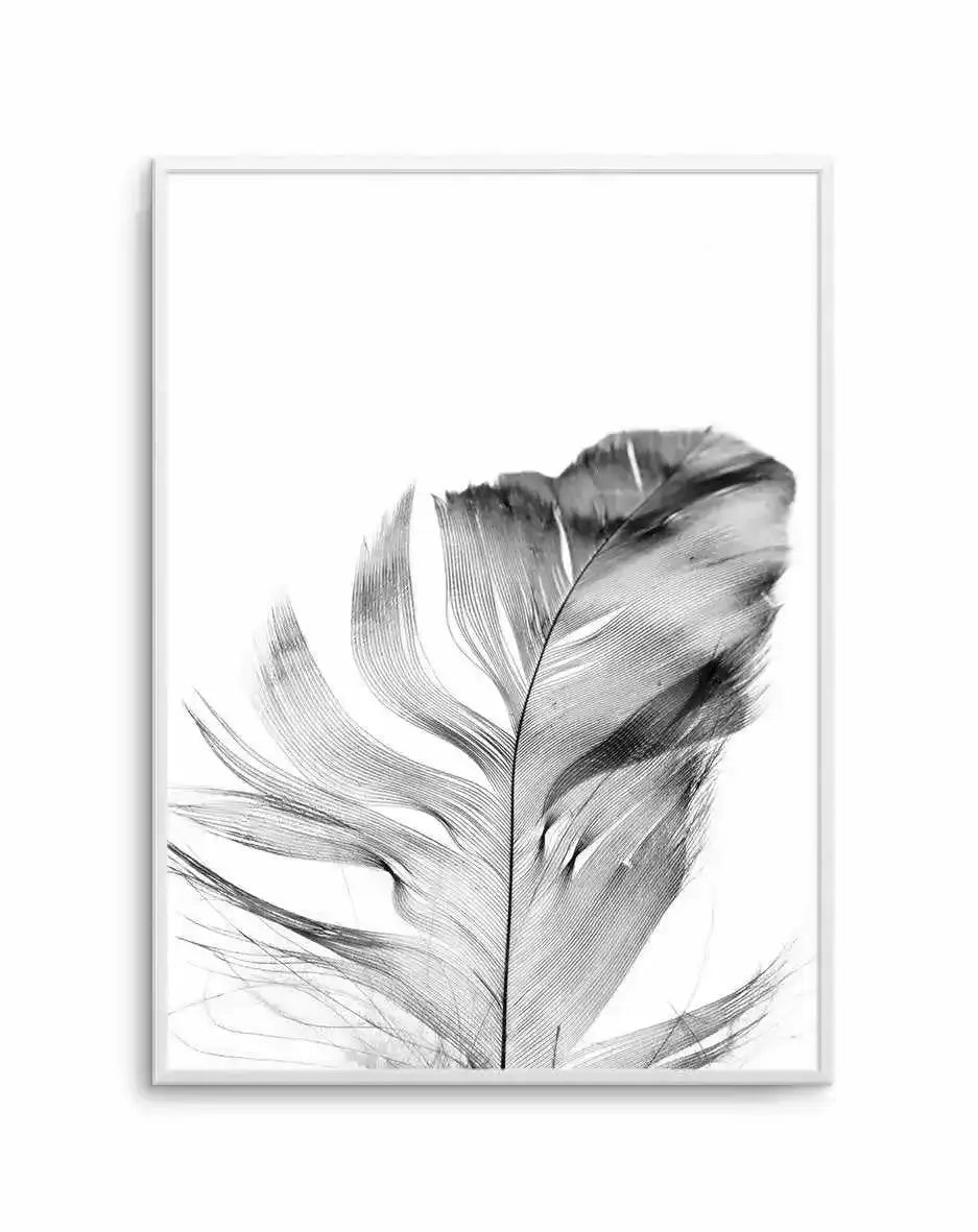 Feather | Grey Art Print-PRINT-Olive et Oriel-Olive et Oriel-A5 | 5.8" x 8.3" | 14.8 x 21cm-Unframed Art Print-With White Border-Buy-Australian-Art-Prints-Online-with-Olive-et-Oriel-Your-Artwork-Specialists-Austrailia-Decorate-With-Coastal-Photo-Wall-Art-Prints-From-Our-Beach-House-Artwork-Collection-Fine-Poster-and-Framed-Artwork