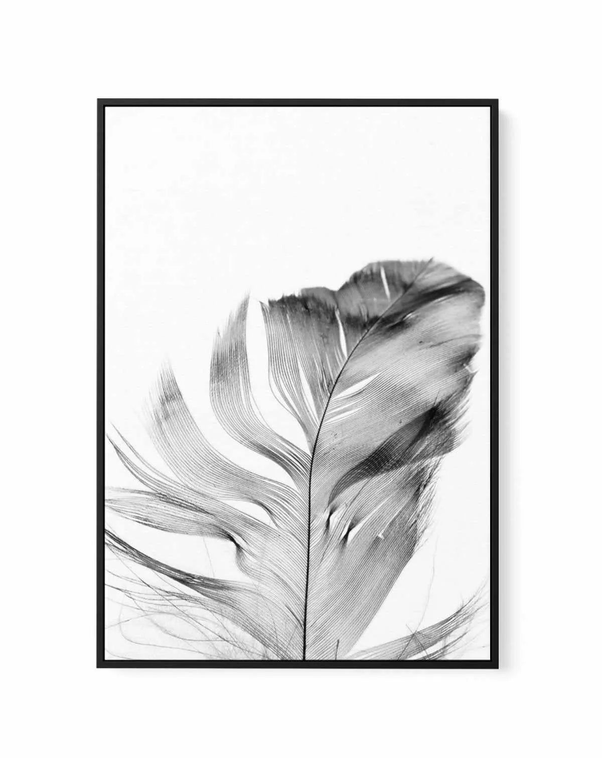 Feather | Grey | Framed Canvas-CANVAS-You can shop wall art online with Olive et Oriel for everything from abstract art to fun kids wall art. Our beautiful modern art prints and canvas art are available from large canvas prints to wall art paintings and our proudly Australian artwork collection offers only the highest quality framed large wall art and canvas art Australia - You can buy fashion photography prints or Hampton print posters and paintings on canvas from Olive et Oriel and have them d