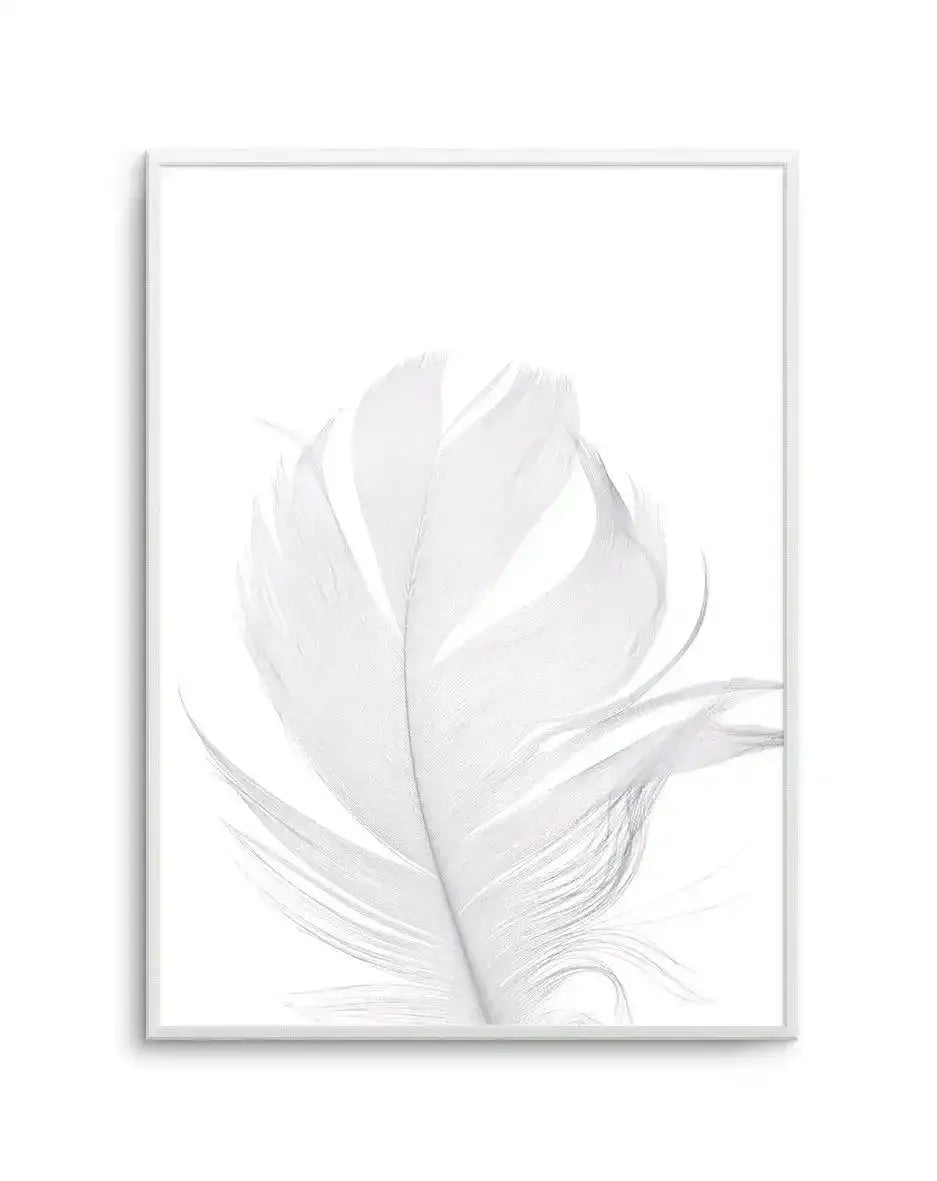 Feather II | White Art Print-PRINT-Olive et Oriel-Olive et Oriel-A5 | 5.8" x 8.3" | 14.8 x 21cm-Unframed Art Print-With White Border-Buy-Australian-Art-Prints-Online-with-Olive-et-Oriel-Your-Artwork-Specialists-Austrailia-Decorate-With-Coastal-Photo-Wall-Art-Prints-From-Our-Beach-House-Artwork-Collection-Fine-Poster-and-Framed-Artwork