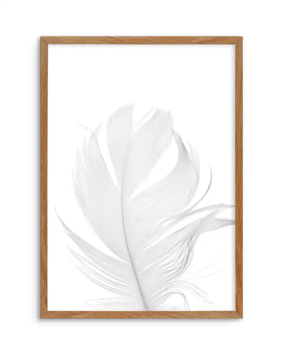 Feather II | White Art Print-PRINT-Olive et Oriel-Olive et Oriel-50x70 cm | 19.6" x 27.5"-Walnut-With White Border-Buy-Australian-Art-Prints-Online-with-Olive-et-Oriel-Your-Artwork-Specialists-Austrailia-Decorate-With-Coastal-Photo-Wall-Art-Prints-From-Our-Beach-House-Artwork-Collection-Fine-Poster-and-Framed-Artwork