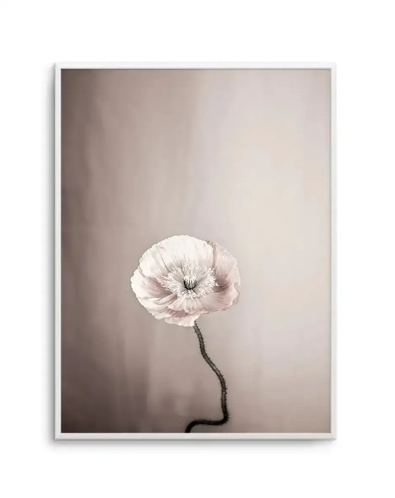 Framed art print featuring a single pale pink poppy flower with delicate, ruffled petals and dark center stamens against a soft, gradient background transitioning from warm taupe to light cream. A thin, dark curved stem extends downward. White wooden frame with white border. Minimalist composition with ample negative space emphasizing the flower's botanical detail and soft, ethereal quality.