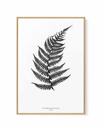 Fern | Framed Canvas-CANVAS-You can shop wall art online with Olive et Oriel for everything from abstract art to fun kids wall art. Our beautiful modern art prints and canvas art are available from large canvas prints to wall art paintings and our proudly Australian artwork collection offers only the highest quality framed large wall art and canvas art Australia - You can buy fashion photography prints or Hampton print posters and paintings on canvas from Olive et Oriel and have them delivered t