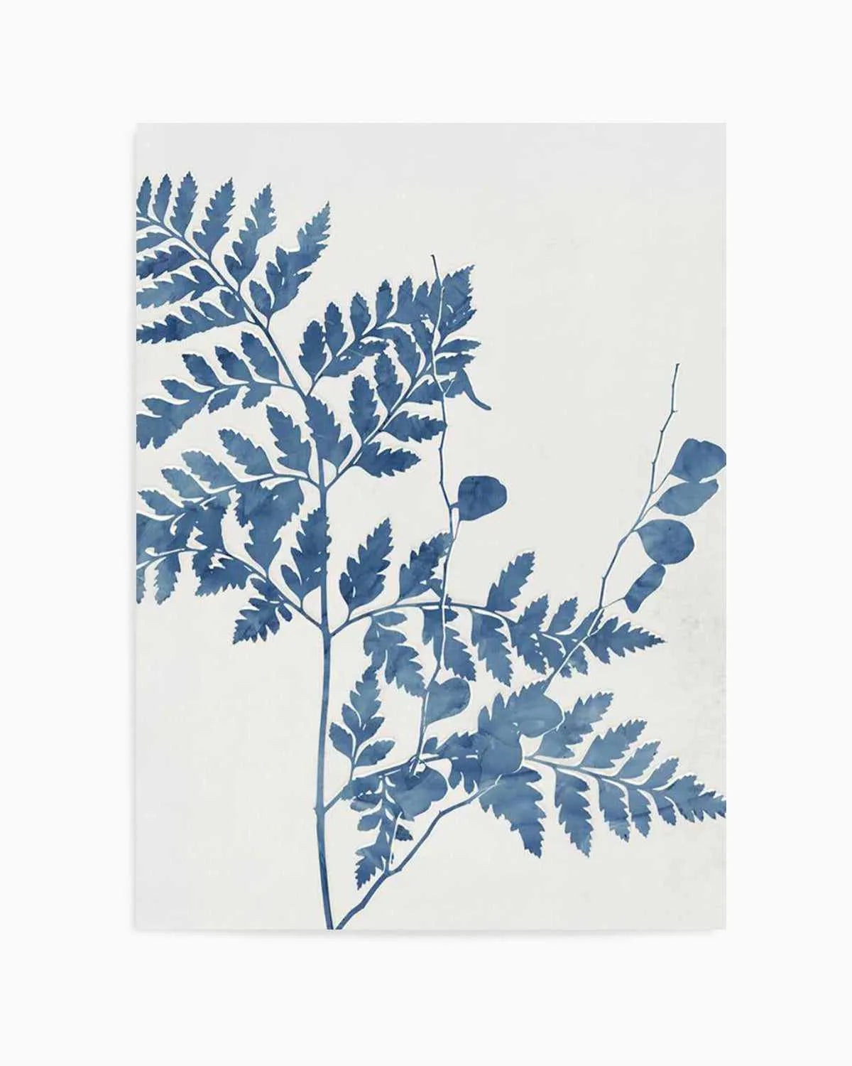 Fern II Art Print from Olive et Oriel where you can shop wallpaper and artworks online