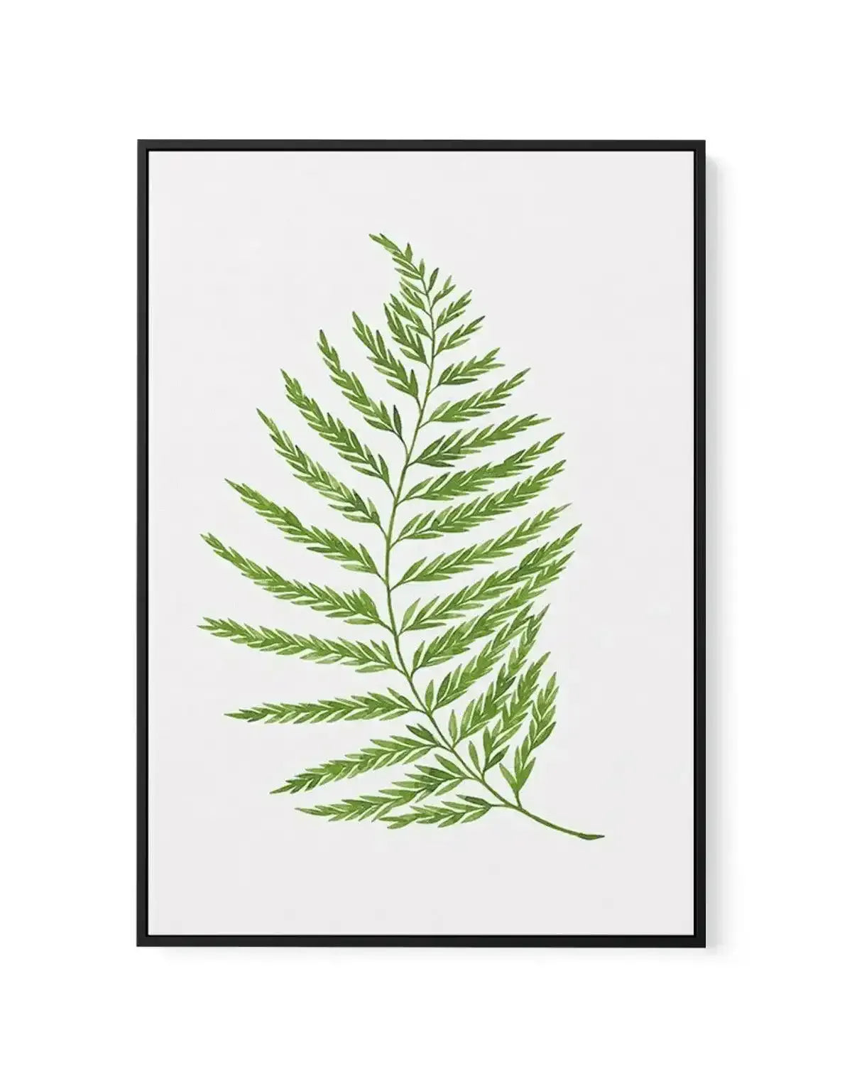 Fern on Grey II | Framed Canvas-CANVAS-You can shop wall art online with Olive et Oriel for everything from abstract art to fun kids wall art. Our beautiful modern art prints and canvas art are available from large canvas prints to wall art paintings and our proudly Australian artwork collection offers only the highest quality framed large wall art and canvas art Australia - You can buy fashion photography prints or Hampton print posters and paintings on canvas from Olive et Oriel and have them 