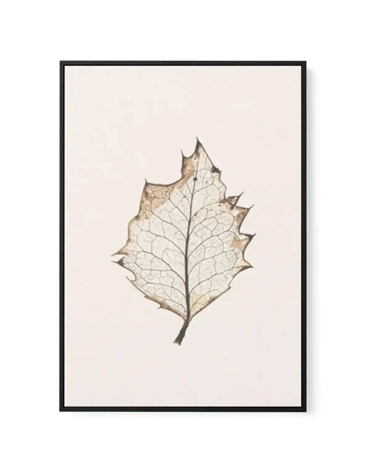 Feuille D'or I | Framed Canvas-CANVAS-You can shop wall art online with Olive et Oriel for everything from abstract art to fun kids wall art. Our beautiful modern art prints and canvas art are available from large canvas prints to wall art paintings and our proudly Australian artwork collection offers only the highest quality framed large wall art and canvas art Australia - You can buy fashion photography prints or Hampton print posters and paintings on canvas from Olive et Oriel and have them d