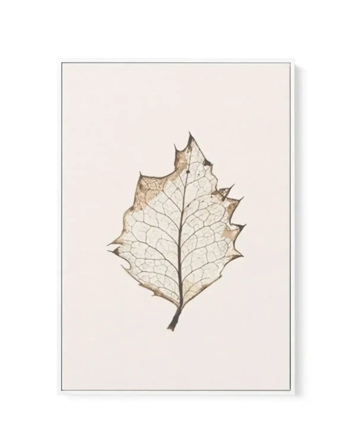 Feuille D'or I | Framed Canvas-CANVAS-You can shop wall art online with Olive et Oriel for everything from abstract art to fun kids wall art. Our beautiful modern art prints and canvas art are available from large canvas prints to wall art paintings and our proudly Australian artwork collection offers only the highest quality framed large wall art and canvas art Australia - You can buy fashion photography prints or Hampton print posters and paintings on canvas from Olive et Oriel and have them d