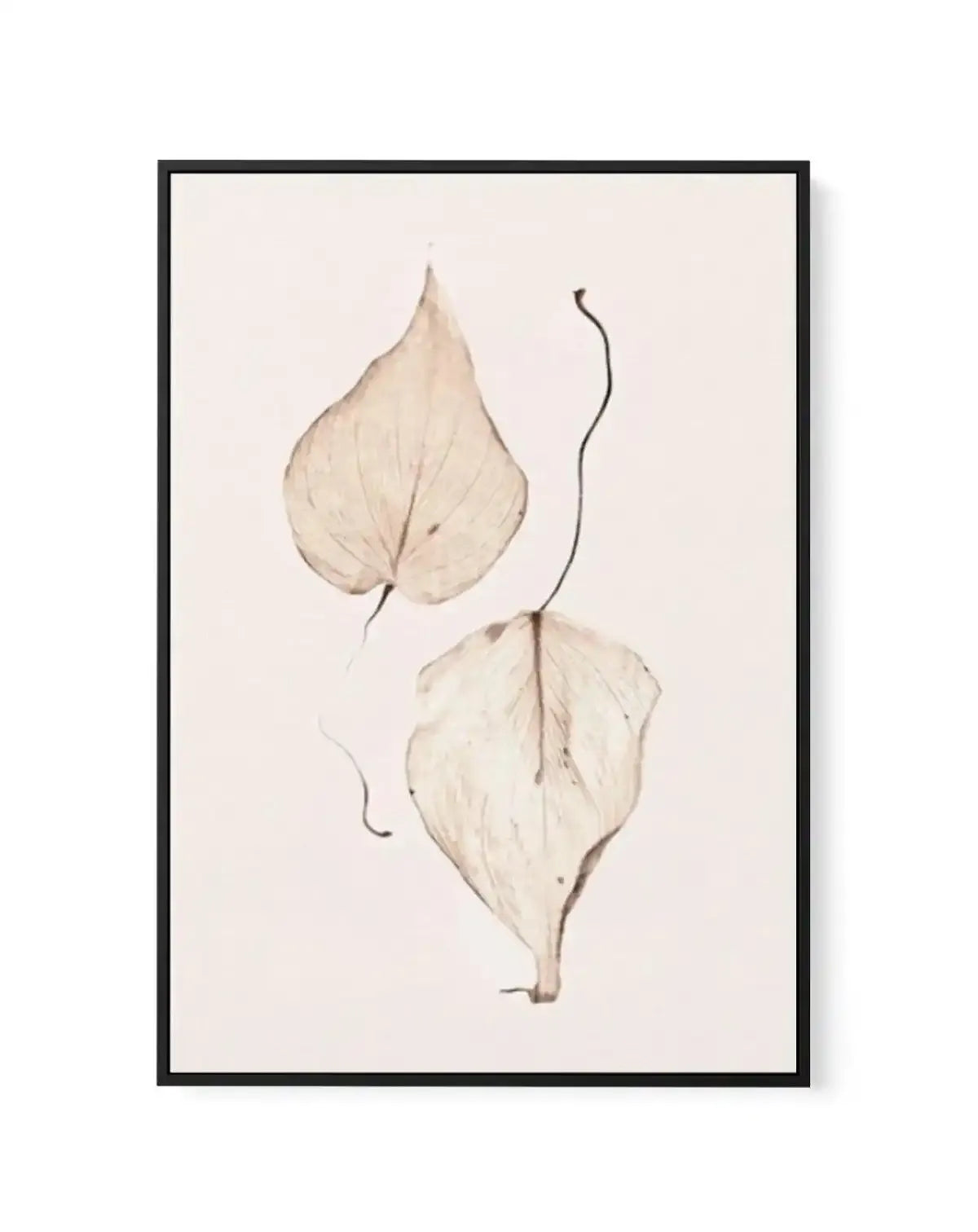 Feuille D'or II | Framed Canvas-CANVAS-You can shop wall art online with Olive et Oriel for everything from abstract art to fun kids wall art. Our beautiful modern art prints and canvas art are available from large canvas prints to wall art paintings and our proudly Australian artwork collection offers only the highest quality framed large wall art and canvas art Australia - You can buy fashion photography prints or Hampton print posters and paintings on canvas from Olive et Oriel and have them 