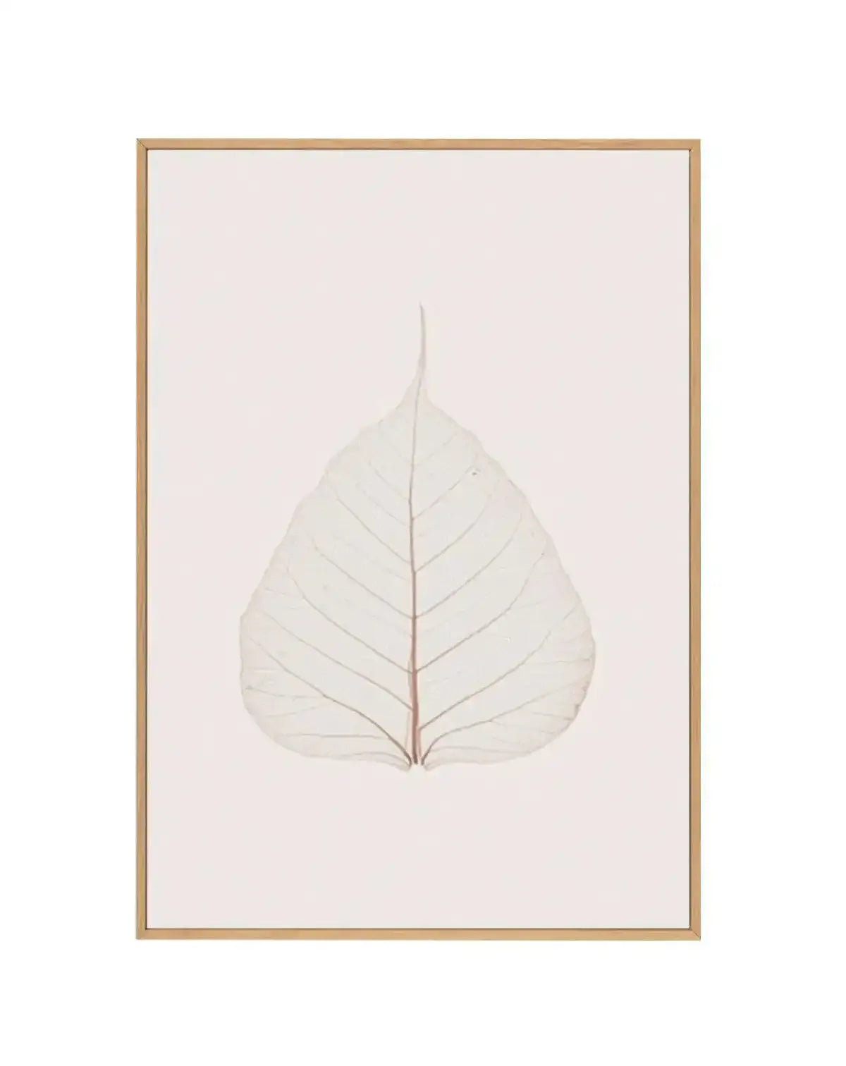 Feuille D'or III | Framed Canvas-CANVAS-You can shop wall art online with Olive et Oriel for everything from abstract art to fun kids wall art. Our beautiful modern art prints and canvas art are available from large canvas prints to wall art paintings and our proudly Australian artwork collection offers only the highest quality framed large wall art and canvas art Australia - You can buy fashion photography prints or Hampton print posters and paintings on canvas from Olive et Oriel and have them