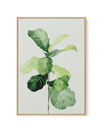 Watercolour painting of a fiddle fig plant branch displayed in a natural wood frame. The artwork features delicate green leaves in varying shades from pale yellow-green to deep forest green, with visible veining details rendered in soft watercolour technique. The single stem extends vertically with leaves positioned at intervals, creating an organic, botanical illustration style against a pale cream background. The natural wooden frame complements the botanical subject matter.