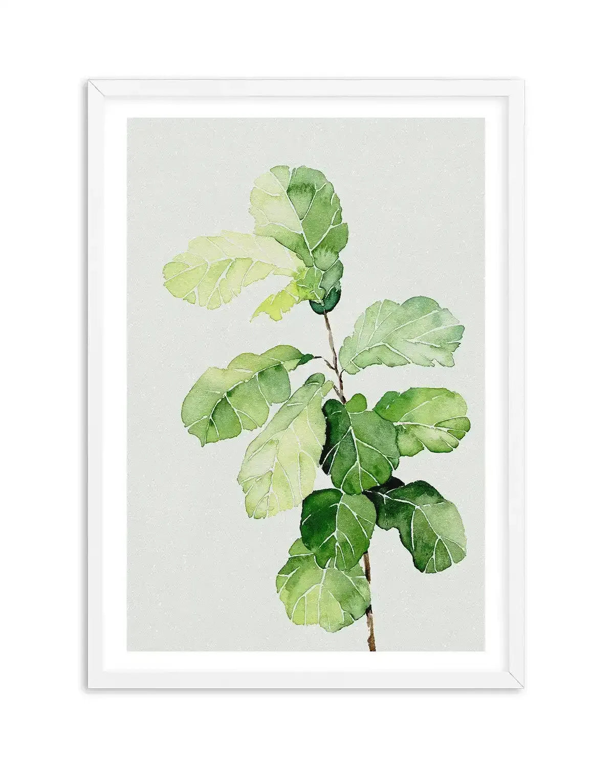 Fiddle Fig in Watercolour II Art Print-PRINT-Olive et Oriel-Olive et Oriel-A4 | 8.3" x 11.7" | 21 x 29.7cm-White-With White Border-Buy-Australian-Art-Prints-Online-with-Olive-et-Oriel-Your-Artwork-Specialists-Austrailia-Decorate-With-Coastal-Photo-Wall-Art-Prints-From-Our-Beach-House-Artwork-Collection-Fine-Poster-and-Framed-Artwork