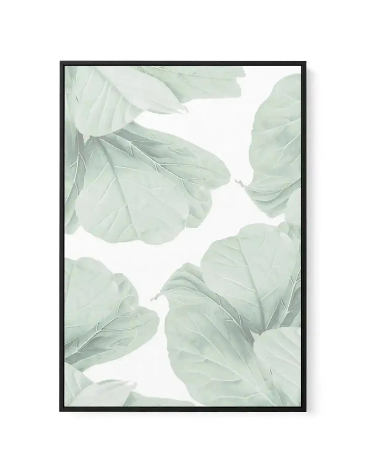 Fig Leaves I | Framed Canvas-CANVAS-You can shop wall art online with Olive et Oriel for everything from abstract art to fun kids wall art. Our beautiful modern art prints and canvas art are available from large canvas prints to wall art paintings and our proudly Australian artwork collection offers only the highest quality framed large wall art and canvas art Australia - You can buy fashion photography prints or Hampton print posters and paintings on canvas from Olive et Oriel and have them del