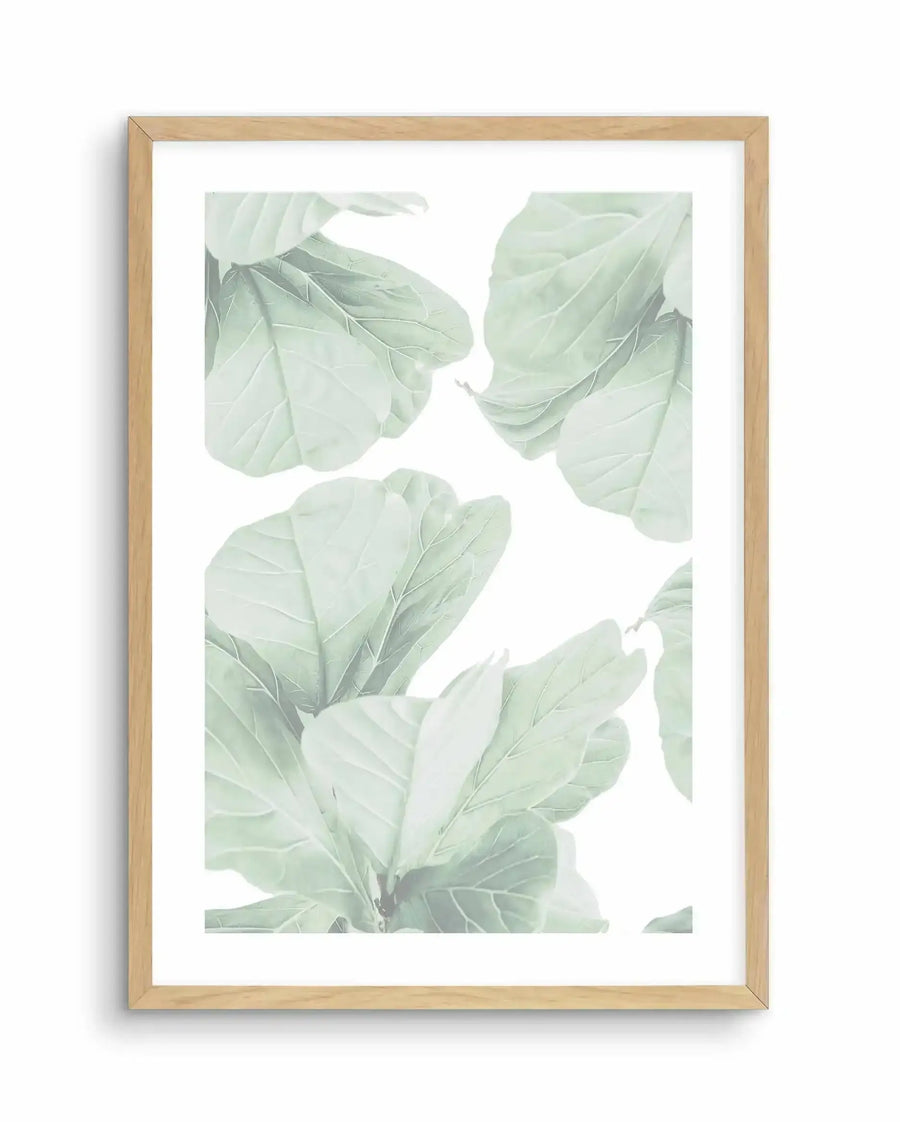 Fig Leaves II Art Print in natural wood frame featuring soft sage green watercolor botanical illustration of overlapping fig leaves with delicate veining against white background, with white border, displayed on white wall.