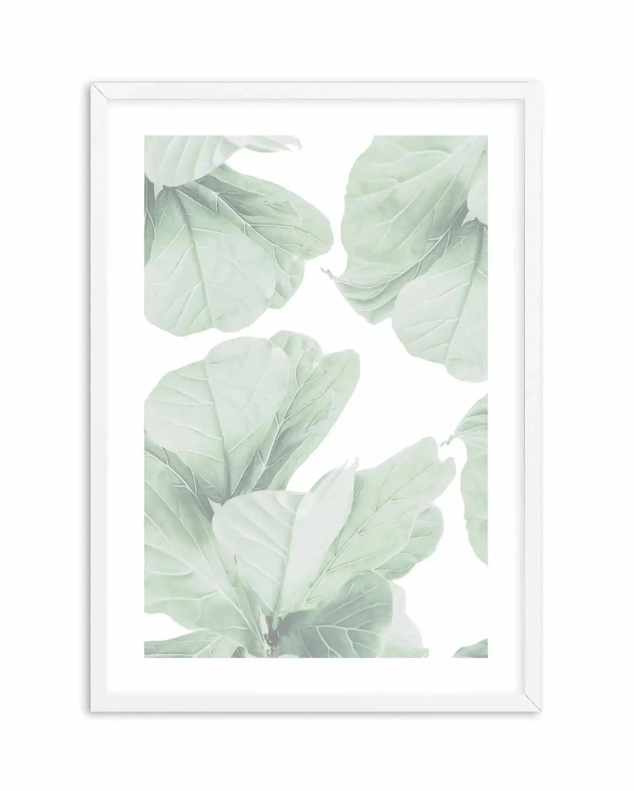 Fig Leaves II Art Print displayed in a white wooden frame with white border. The artwork features a botanical illustration of pale sage green fig leaves with delicate veining, arranged organically across a white background. The leaves are rendered in soft watercolor tones with subtle gray-green shading, creating a serene, minimalist aesthetic. The composition shows overlapping leafy branches positioned at various angles, capturing natural movement and depth.