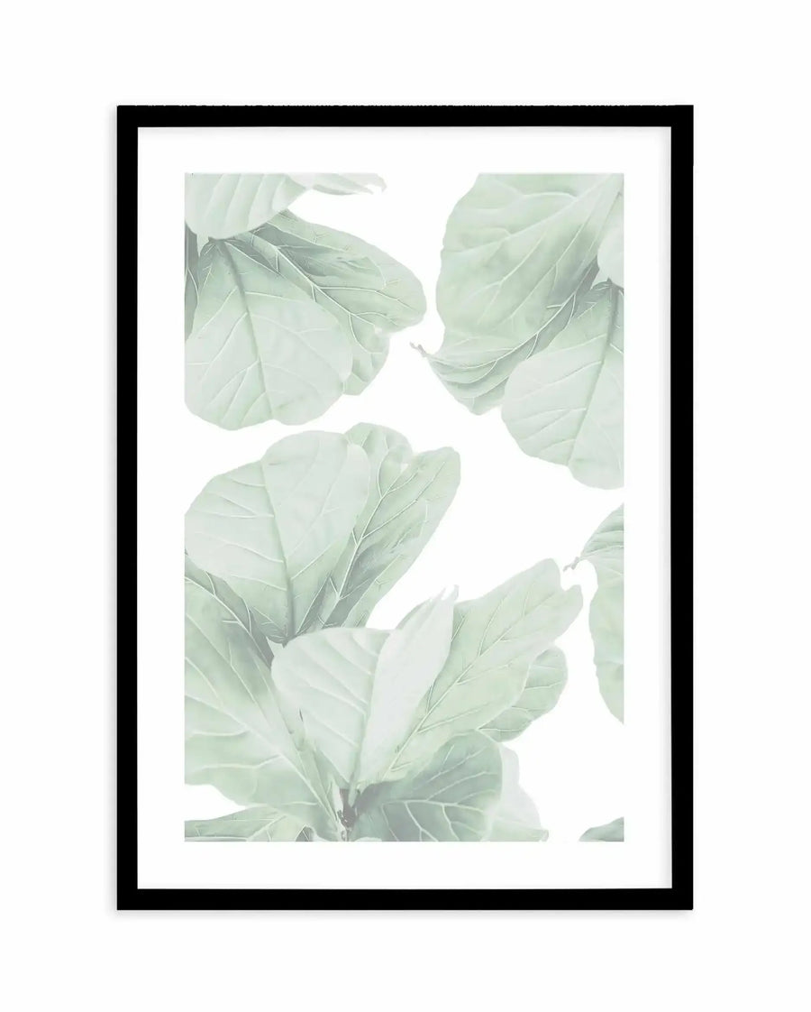 Fig Leaves II Art Print displayed in a black frame with white border. The artwork features a soft watercolor illustration of pale sage green fig leaves with delicate veining, arranged organically across a white background. The leaves vary in size and overlap slightly, creating a layered, botanical composition with subtle gradations in tone from light green to soft gray-green. The leaves have a translucent, organic quality characteristic of watercolor painting technique.
