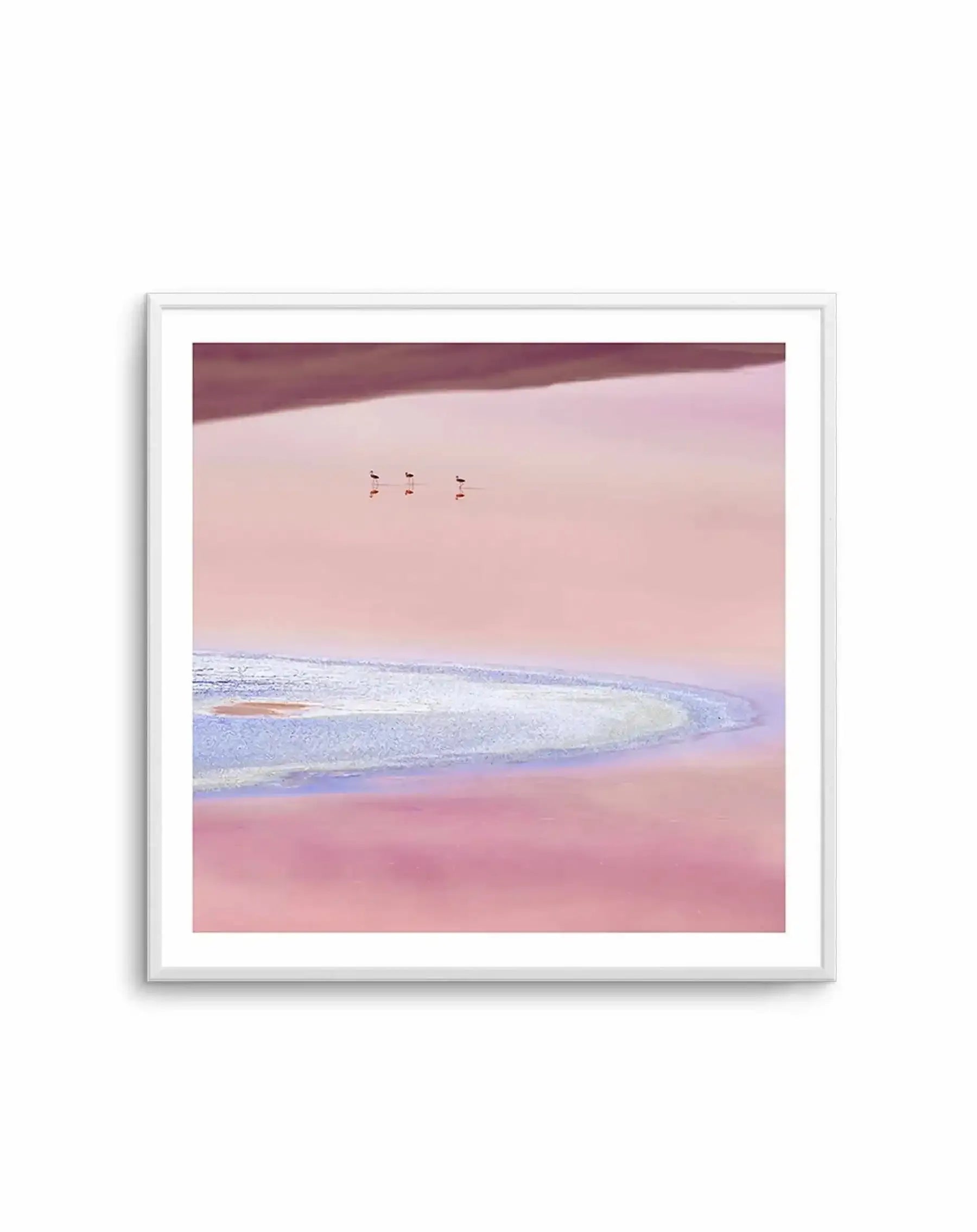 Flamingos, Andean Plateau SQ Art Print-PRINT-Olive et Oriel-Olive et Oriel-Buy-Australian-Art-Prints-Online-with-Olive-et-Oriel-Your-Artwork-Specialists-Austrailia-Decorate-With-Coastal-Photo-Wall-Art-Prints-From-Our-Beach-House-Artwork-Collection-Fine-Poster-and-Framed-Artwork
