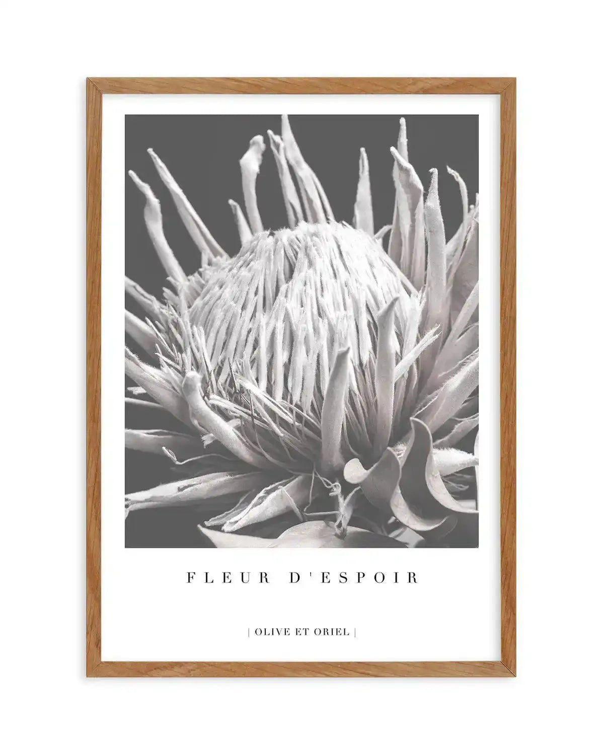 Fleur D'Espoir | King Protea Art Print-PRINT-Olive et Oriel-Olive et Oriel-50x70 cm | 19.6" x 27.5"-Walnut-With White Border-Buy-Australian-Art-Prints-Online-with-Olive-et-Oriel-Your-Artwork-Specialists-Austrailia-Decorate-With-Coastal-Photo-Wall-Art-Prints-From-Our-Beach-House-Artwork-Collection-Fine-Poster-and-Framed-Artwork
