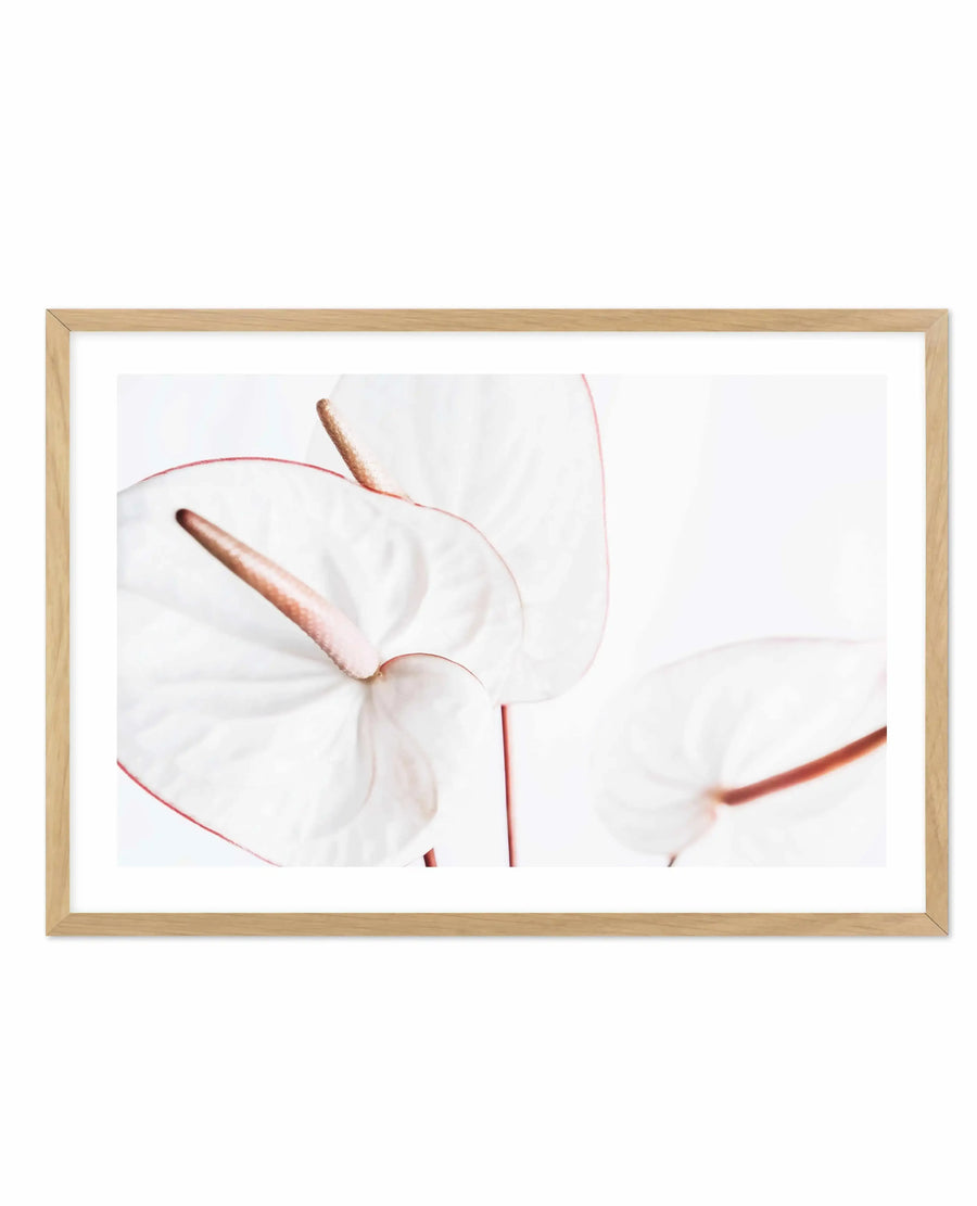 Delicate watercolor art print in a natural wood frame featuring two softly blurred white flowers with rose-pink stems and stamens against a light background. The ethereal composition has a minimalist aesthetic with soft focus creating a dreamy quality. The print is mounted with a white border in a light wooden frame with a natural finish.