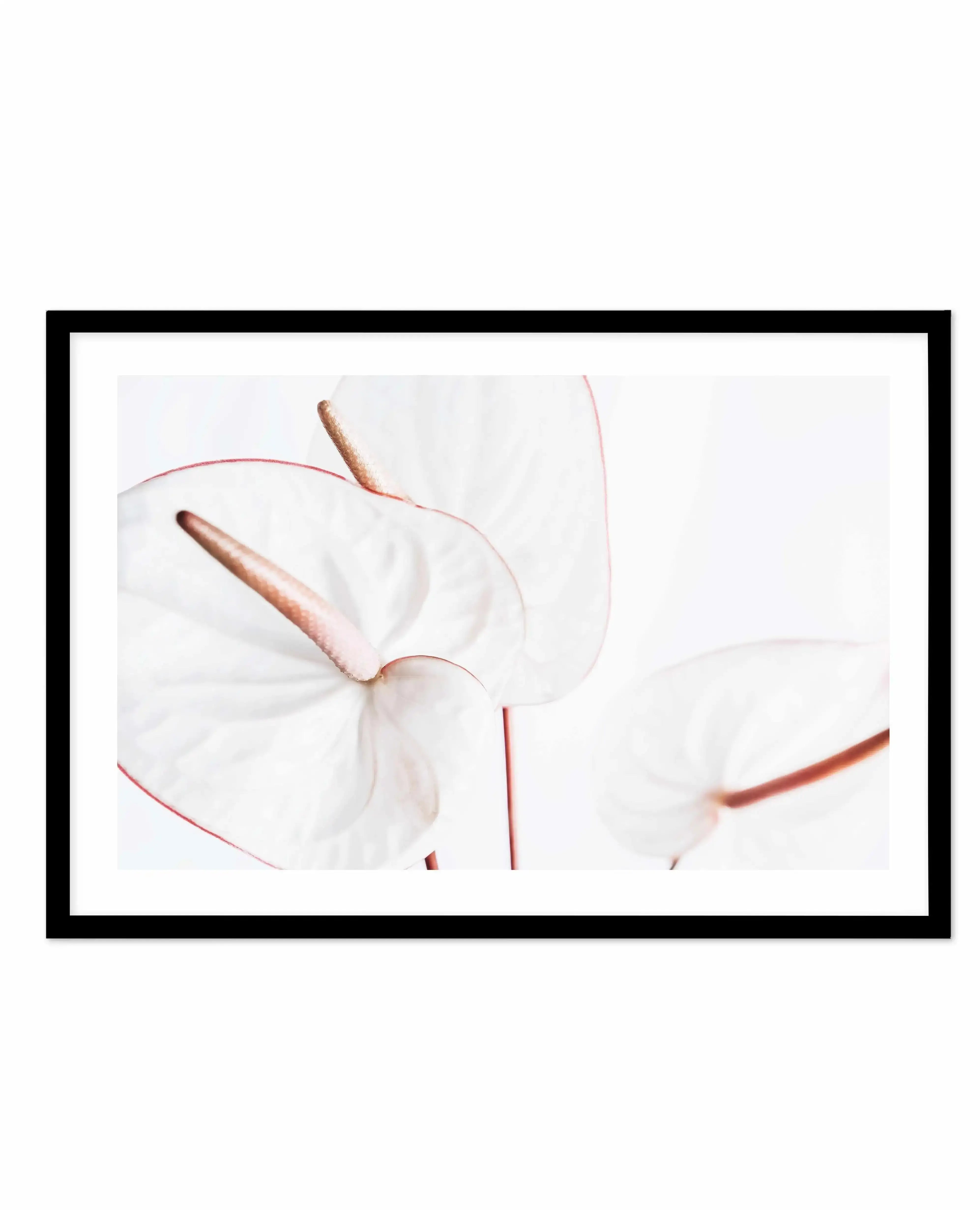 Fleur Flamingo | LS Art Print-PRINT-Olive et Oriel-Olive et Oriel-A5 | 5.8" x 8.3" | 14.8 x 21cm-Black-With White Border-Buy-Australian-Art-Prints-Online-with-Olive-et-Oriel-Your-Artwork-Specialists-Austrailia-Decorate-With-Coastal-Photo-Wall-Art-Prints-From-Our-Beach-House-Artwork-Collection-Fine-Poster-and-Framed-Artwork