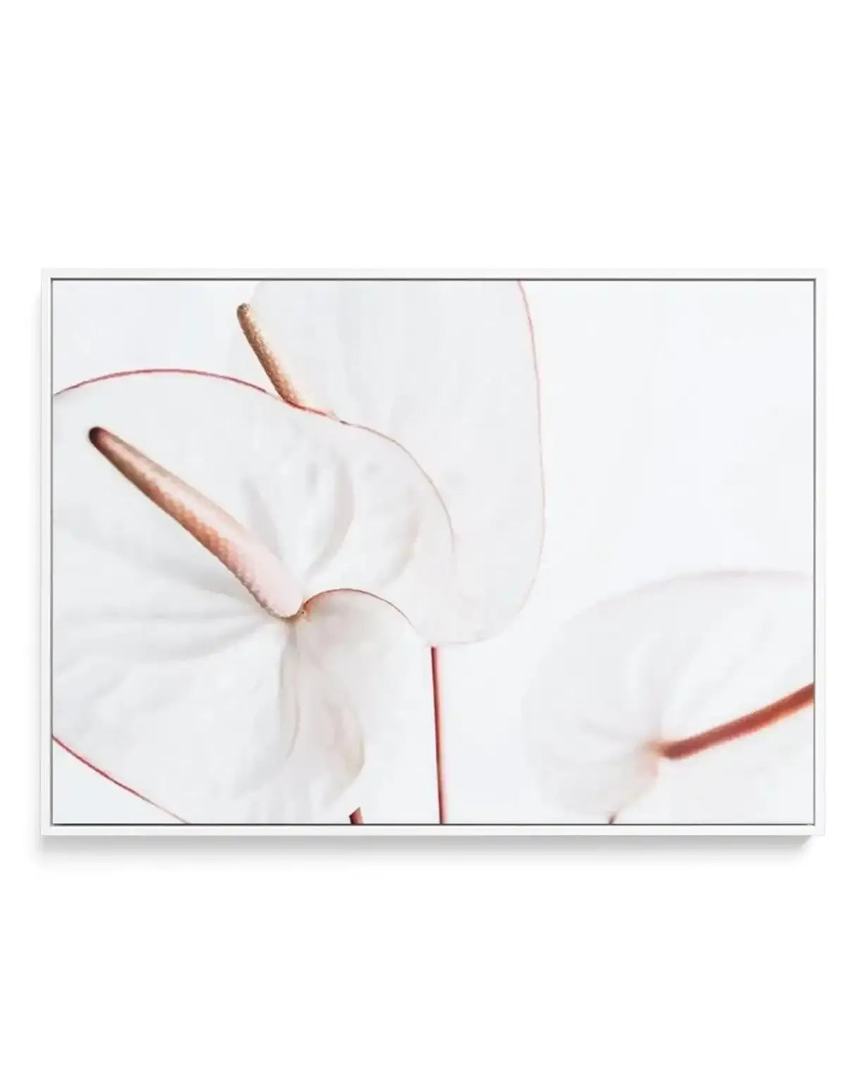 Fleur Flamingo | LS | Framed Canvas-CANVAS-You can shop wall art online with Olive et Oriel for everything from abstract art to fun kids wall art. Our beautiful modern art prints and canvas art are available from large canvas prints to wall art paintings and our proudly Australian artwork collection offers only the highest quality framed large wall art and canvas art Australia - You can buy fashion photography prints or Hampton print posters and paintings on canvas from Olive et Oriel and have t