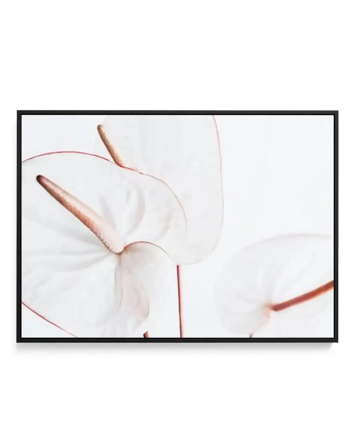Fleur Flamingo | LS | Framed Canvas-CANVAS-You can shop wall art online with Olive et Oriel for everything from abstract art to fun kids wall art. Our beautiful modern art prints and canvas art are available from large canvas prints to wall art paintings and our proudly Australian artwork collection offers only the highest quality framed large wall art and canvas art Australia - You can buy fashion photography prints or Hampton print posters and paintings on canvas from Olive et Oriel and have t