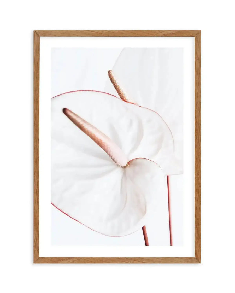 Art print in natural wood frame showing a close-up illustration of a white flower with soft, delicate petals and a dusty rose-pink stem and stamen. The flower is rendered in a minimalist watercolor style against a light background, with subtle shading that creates dimension. White border surrounds the artwork within the frame.