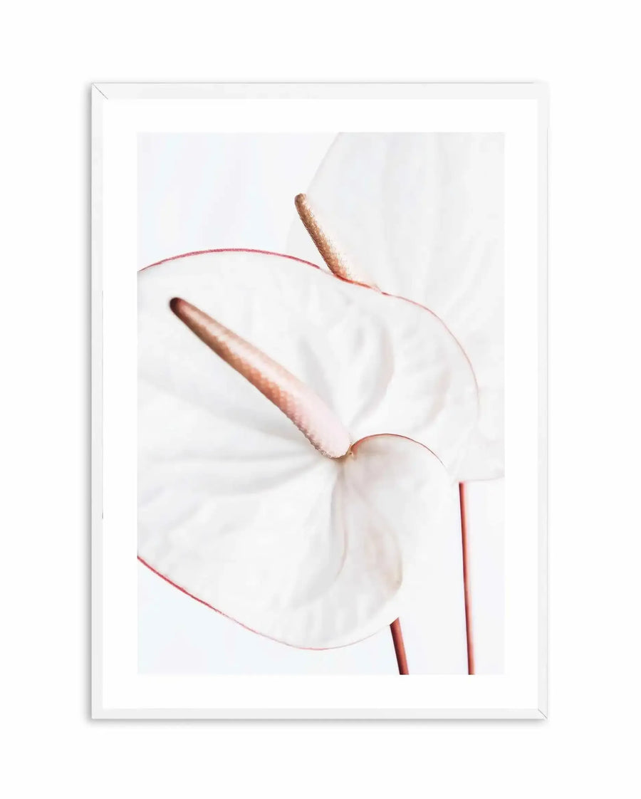Framed art print featuring a minimalist watercolor illustration of a white flower with delicate petals and two thin brown stamens against a soft, light gray background. The flower is rendered in pale cream and blush tones with subtle rose-pink outlines defining the petal edges. Displayed in a white frame with white border, creating a clean, contemporary aesthetic with a serene, botanical mood.