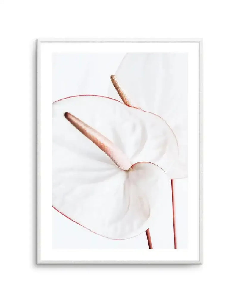 Framed art print featuring an abstract botanical illustration of a white flower with dusty rose and terracotta accents. The composition shows delicate petals in soft white with warm peachy-brown stamen and stem details. The artwork has a minimalist, watercolor-like quality with gentle color gradients. The print is displayed in a light gray frame with white border against a plain white background.