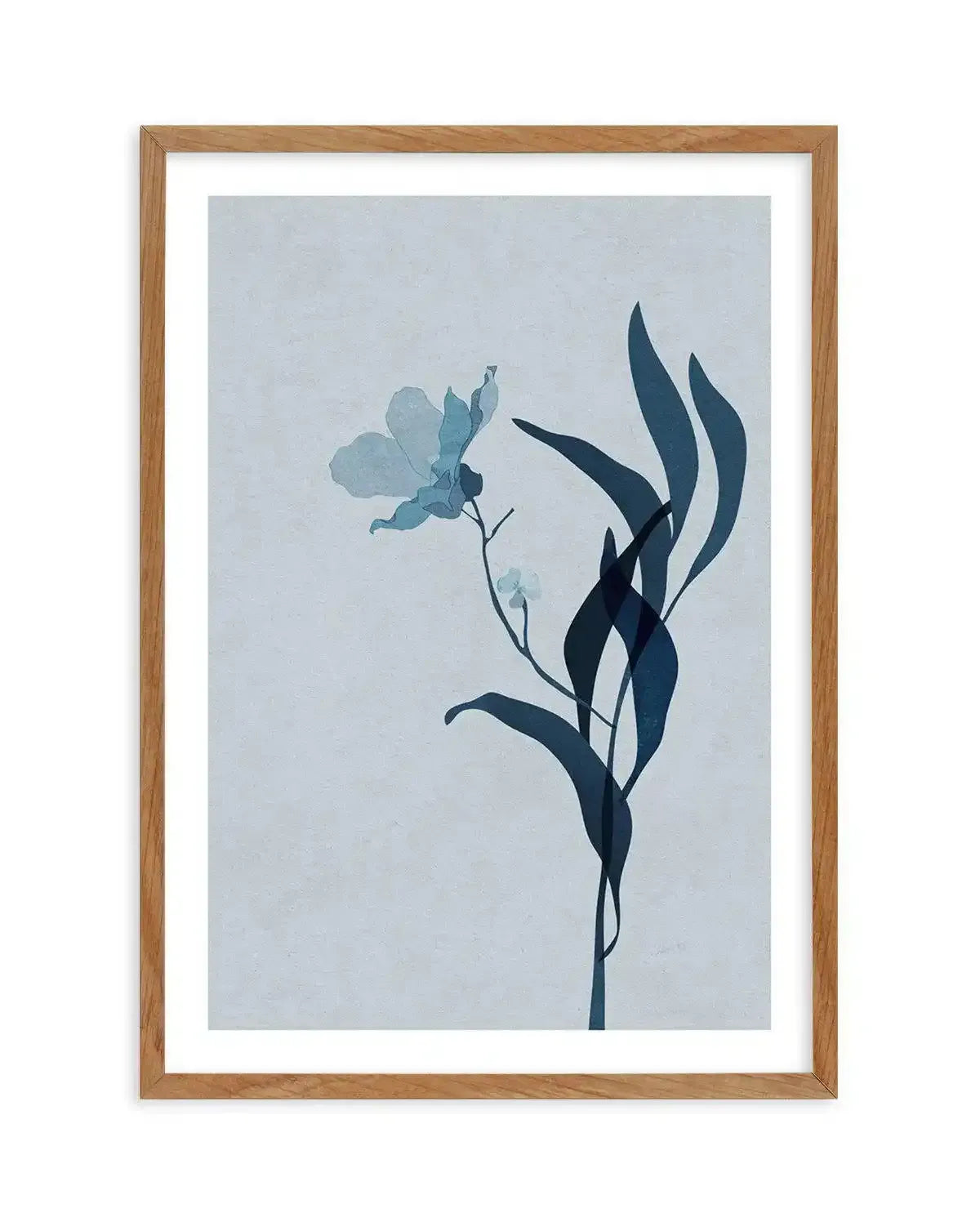 Fleur Graphique II | Blue Art Print-PRINT-Olive et Oriel-Olive et Oriel-Buy-Australian-Art-Prints-Online-with-Olive-et-Oriel-Your-Artwork-Specialists-Austrailia-Decorate-With-Coastal-Photo-Wall-Art-Prints-From-Our-Beach-House-Artwork-Collection-Fine-Poster-and-Framed-Artwork
