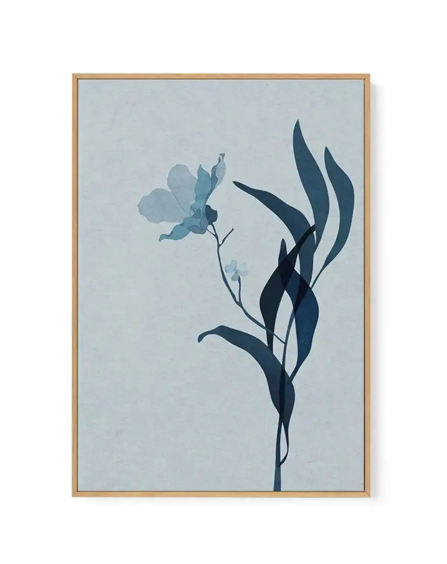 Framed canvas art print featuring a delicate botanical illustration of a single large blue flower with smaller buds and tall, flowing dark blue leaves on a light blue background, with a natural wood frame and white border.