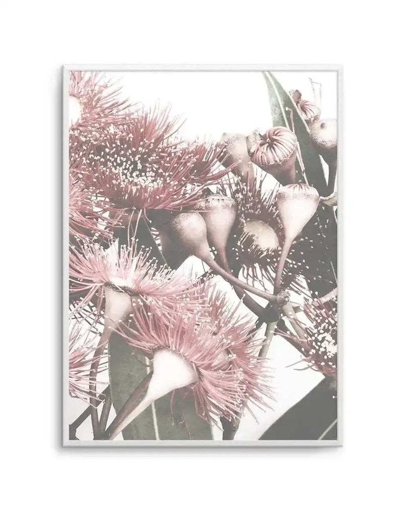 Flowering Gum II Art Print displayed in a light gray frame. The artwork features a close-up botanical photograph of dusty rose and mauve flowering gum blossoms with delicate, wispy stamens and round seed pods. Green stems and foliage are visible throughout the composition. The photograph has soft, muted tones with pale cream and white highlights creating a dreamy, ethereal quality. The image is mounted with a white border within the frame.