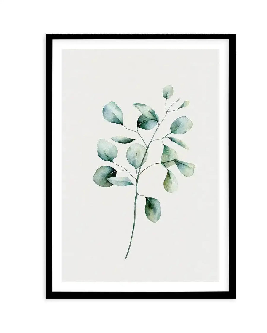 Watercolour art print featuring a single eucalyptus branch with multiple round to oval leaves in shades of muted sage green and pale blue-green, on a soft white background, displayed in a black frame with white border.