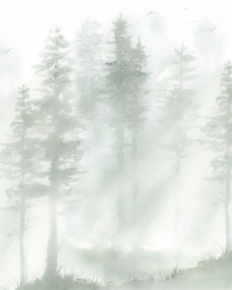 Forest Meadows Wallpaper Mural from Olive et Oriel where you can shop wallpaper and artworks online