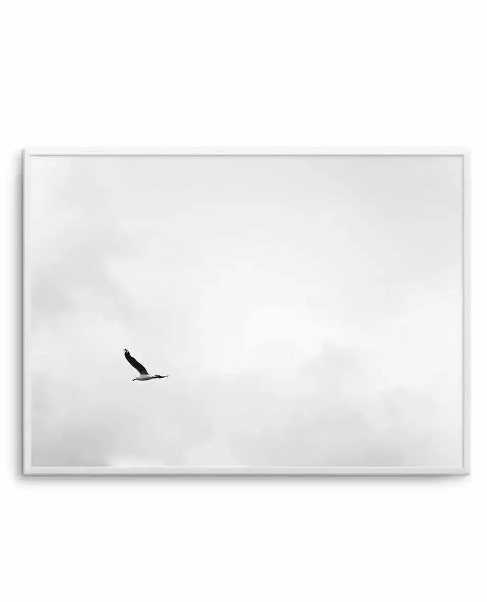 Freedom Art Print-PRINT-Olive et Oriel-Olive et Oriel-A4 | 8.3" x 11.7" | 21 x 29.7cm-Unframed Art Print-With White Border-Buy-Australian-Art-Prints-Online-with-Olive-et-Oriel-Your-Artwork-Specialists-Austrailia-Decorate-With-Coastal-Photo-Wall-Art-Prints-From-Our-Beach-House-Artwork-Collection-Fine-Poster-and-Framed-Artwork