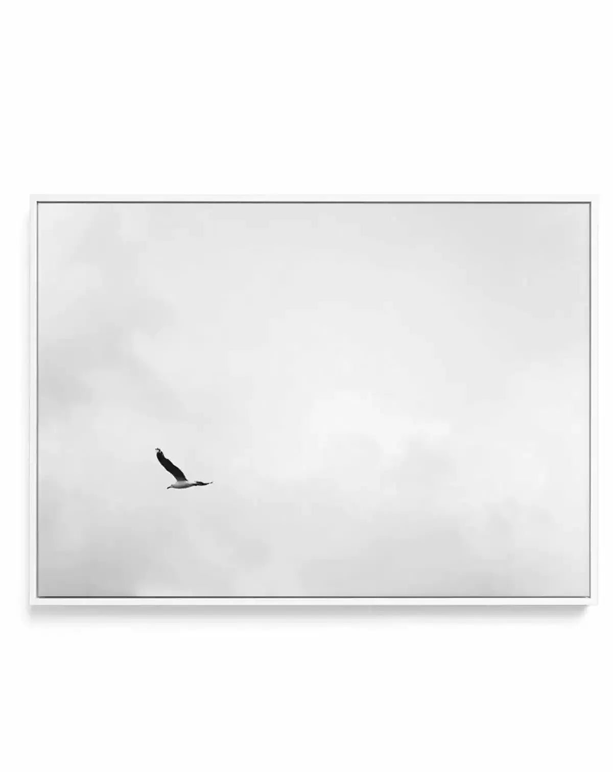 Freedom | Framed Canvas-CANVAS-You can shop wall art online with Olive et Oriel for everything from abstract art to fun kids wall art. Our beautiful modern art prints and canvas art are available from large canvas prints to wall art paintings and our proudly Australian artwork collection offers only the highest quality framed large wall art and canvas art Australia - You can buy fashion photography prints or Hampton print posters and paintings on canvas from Olive et Oriel and have them delivere