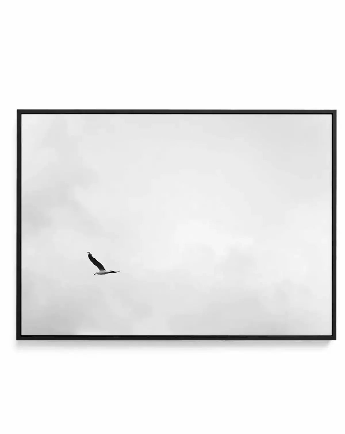 Freedom | Framed Canvas-CANVAS-You can shop wall art online with Olive et Oriel for everything from abstract art to fun kids wall art. Our beautiful modern art prints and canvas art are available from large canvas prints to wall art paintings and our proudly Australian artwork collection offers only the highest quality framed large wall art and canvas art Australia - You can buy fashion photography prints or Hampton print posters and paintings on canvas from Olive et Oriel and have them delivere