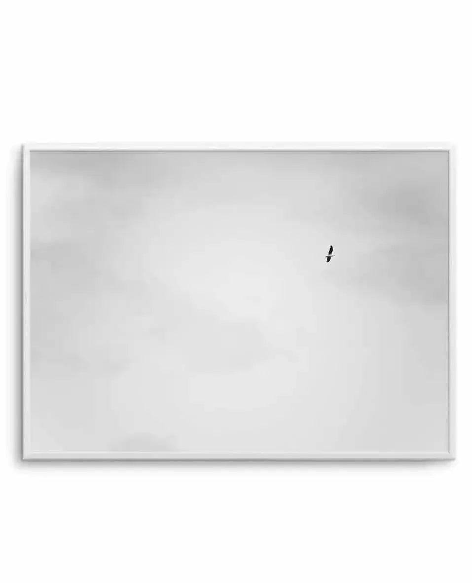 Freedom II Art Print-PRINT-Olive et Oriel-Olive et Oriel-A4 | 8.3" x 11.7" | 21 x 29.7cm-Unframed Art Print-With White Border-Buy-Australian-Art-Prints-Online-with-Olive-et-Oriel-Your-Artwork-Specialists-Austrailia-Decorate-With-Coastal-Photo-Wall-Art-Prints-From-Our-Beach-House-Artwork-Collection-Fine-Poster-and-Framed-Artwork